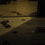 events-ir-game-wuerzburg-1022