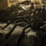 events-ir-game-wuerzburg-1024