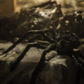 events-ir-game-wuerzburg-1024